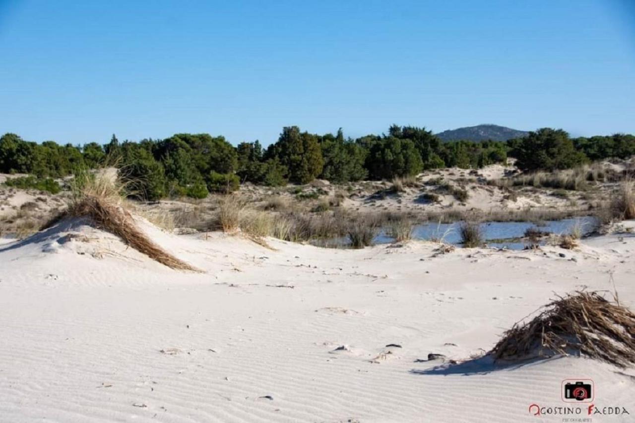Casa Vacanza Le Dune SantʼAnna Arresi Exterior foto